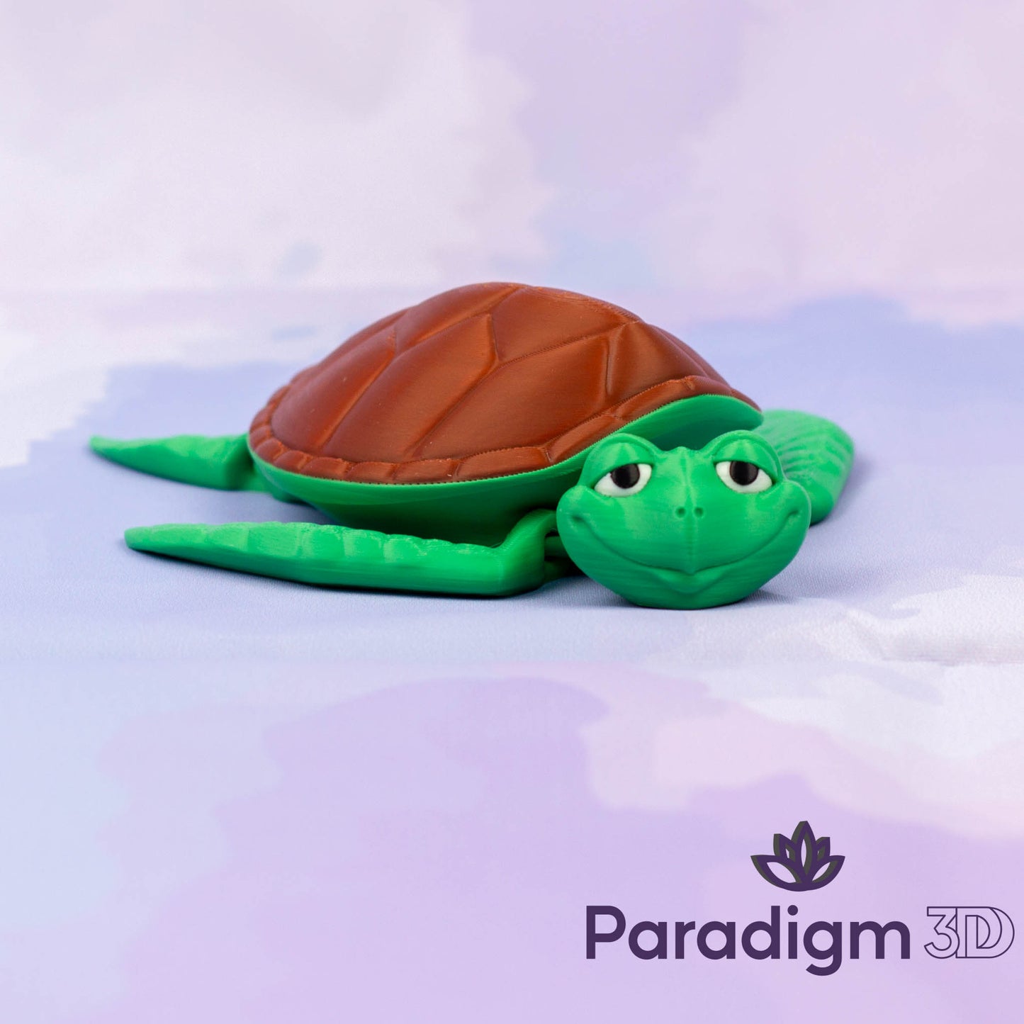 Turtle - Multi Coloured