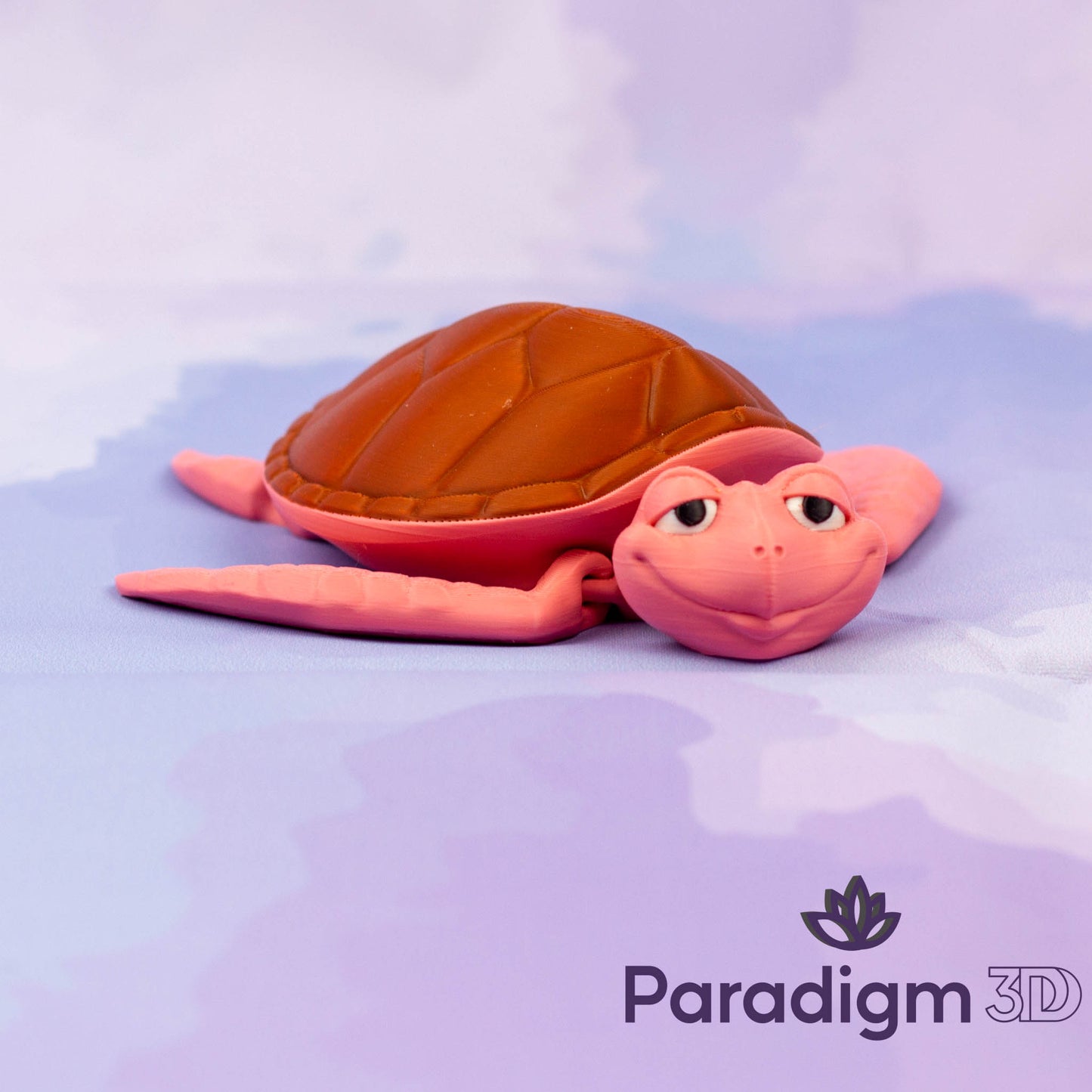 Turtle - Multi Coloured