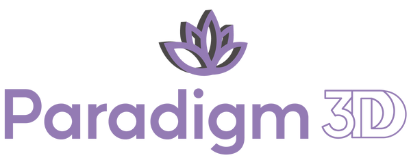 Paradigm 3D