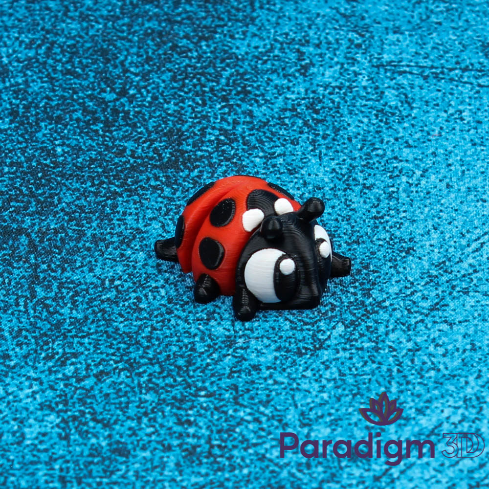 Lady Bug