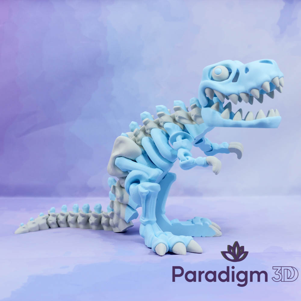 T-Rex Skeleton - Multi Coloured