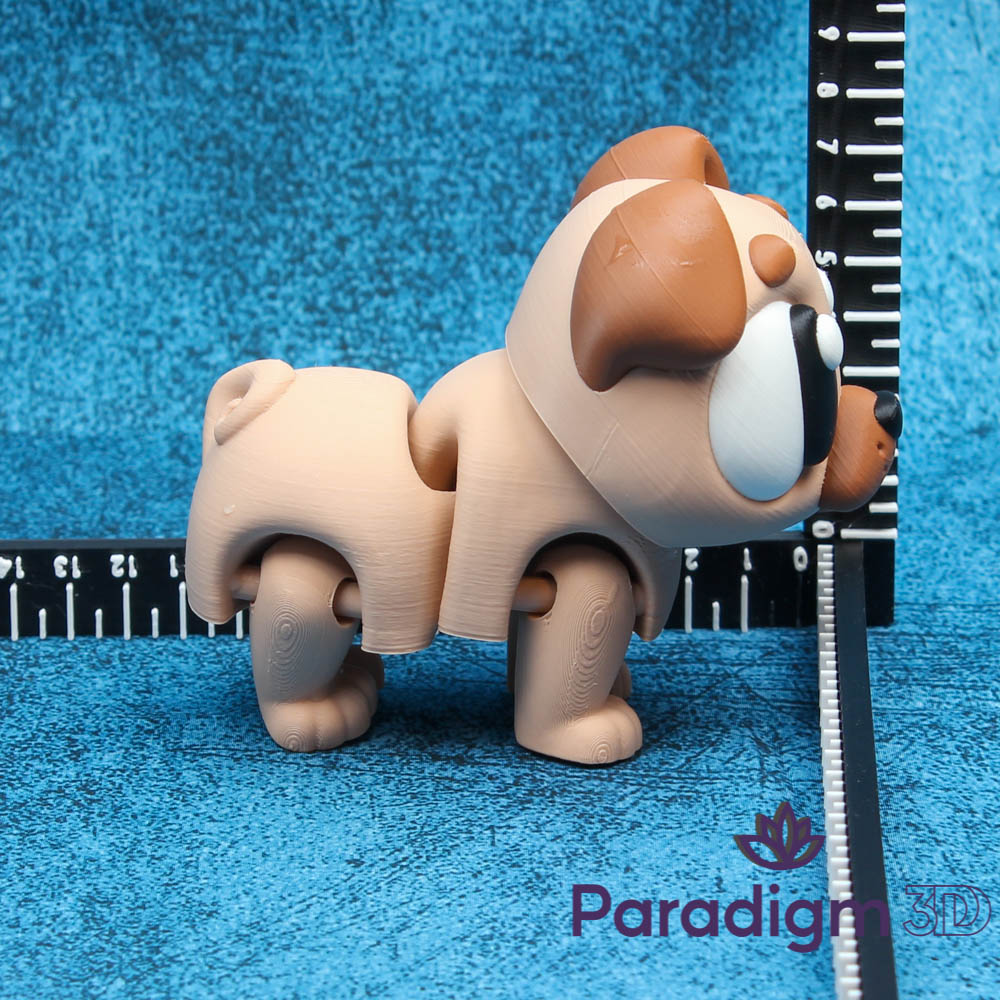 Pug