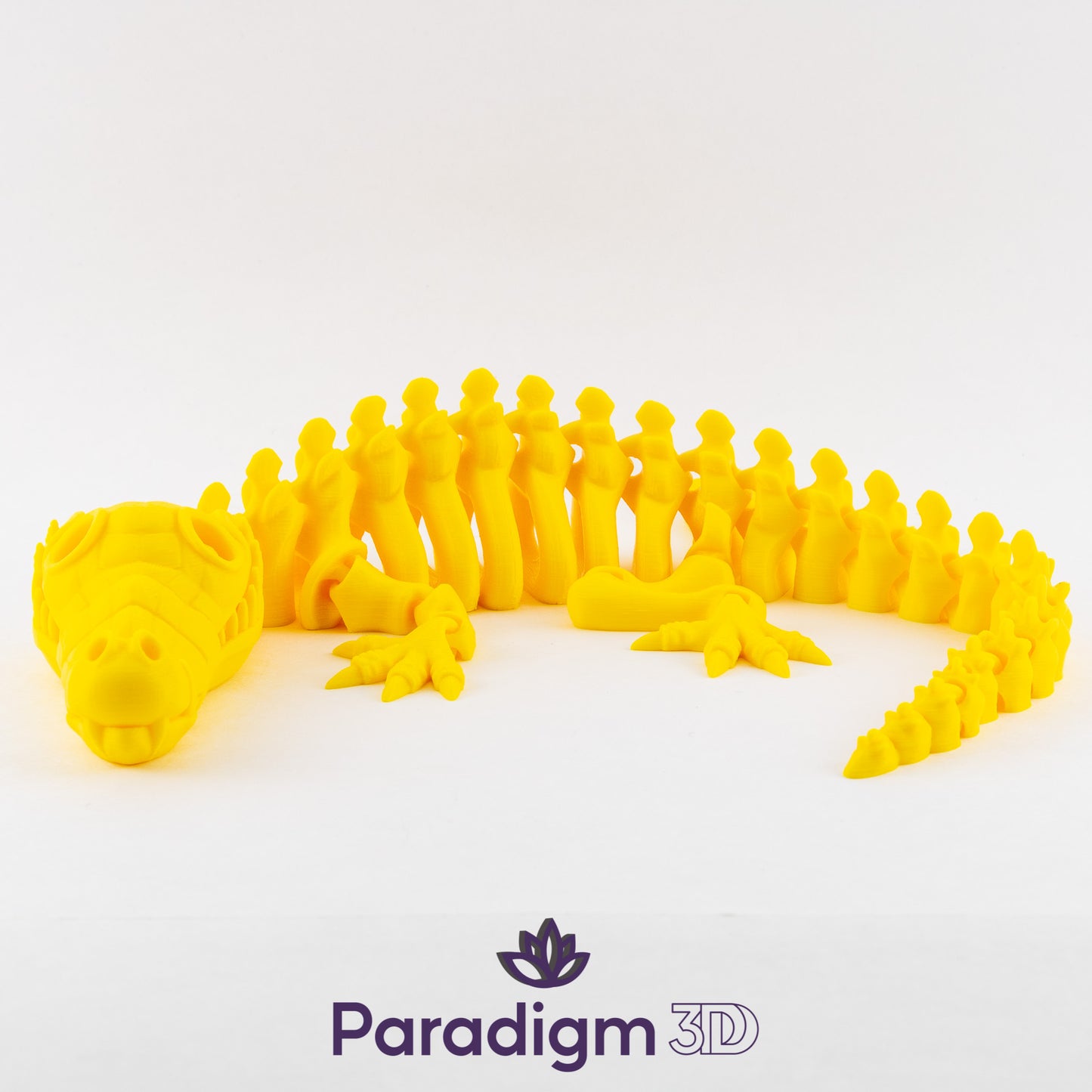 Crocodile