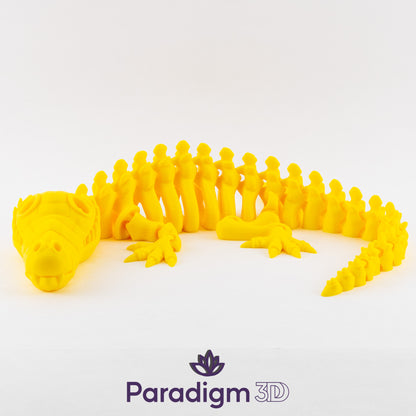 Crocodile