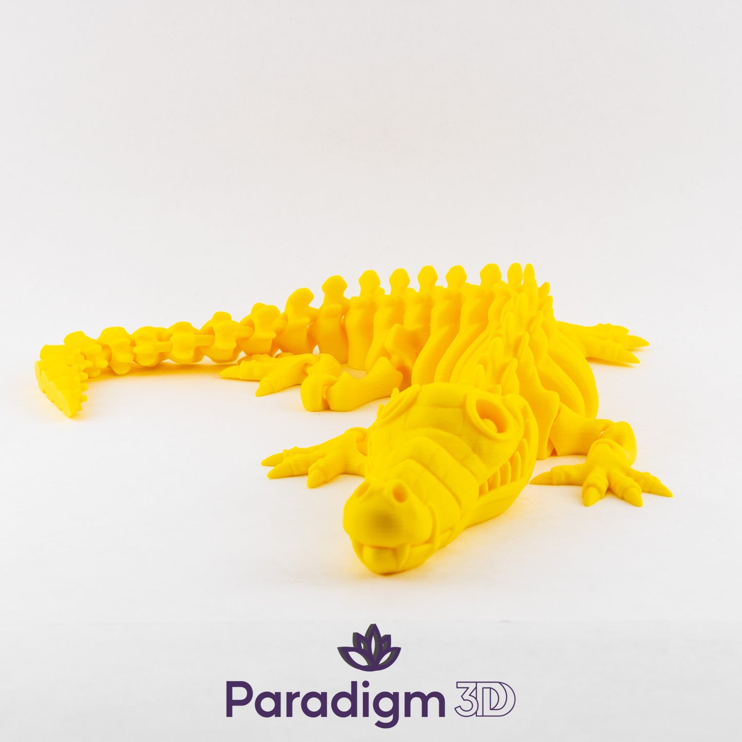 Crocodile
