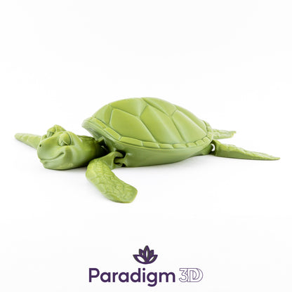 Turtle
